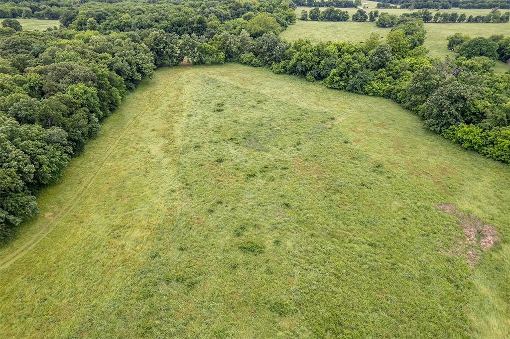 5286 County Road 4502 Commerce, TX 75428 - Photo 17 of 21 a view of a yard with a trees