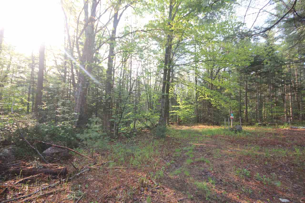 Lot 3 West Jamaica Road Stratton, VT 05360 - Photo 3 of 11