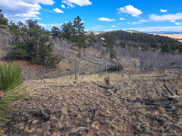 a view of a dry yard with wooden fence