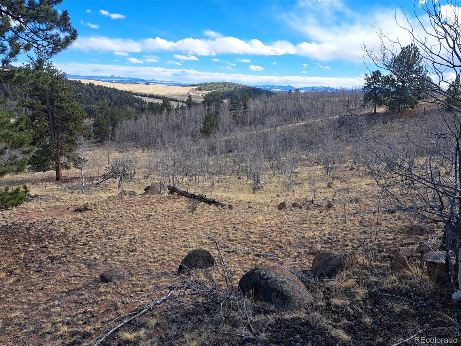 908 Raven Way Como, CO 80432 - Photo 17 of 29 a view of a dry yard with wooden fence