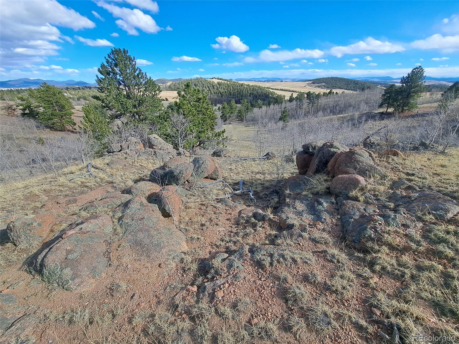 908 Raven Way Como, CO 80432 - Photo 18 of 29 a view of a dry yard with lots of trees