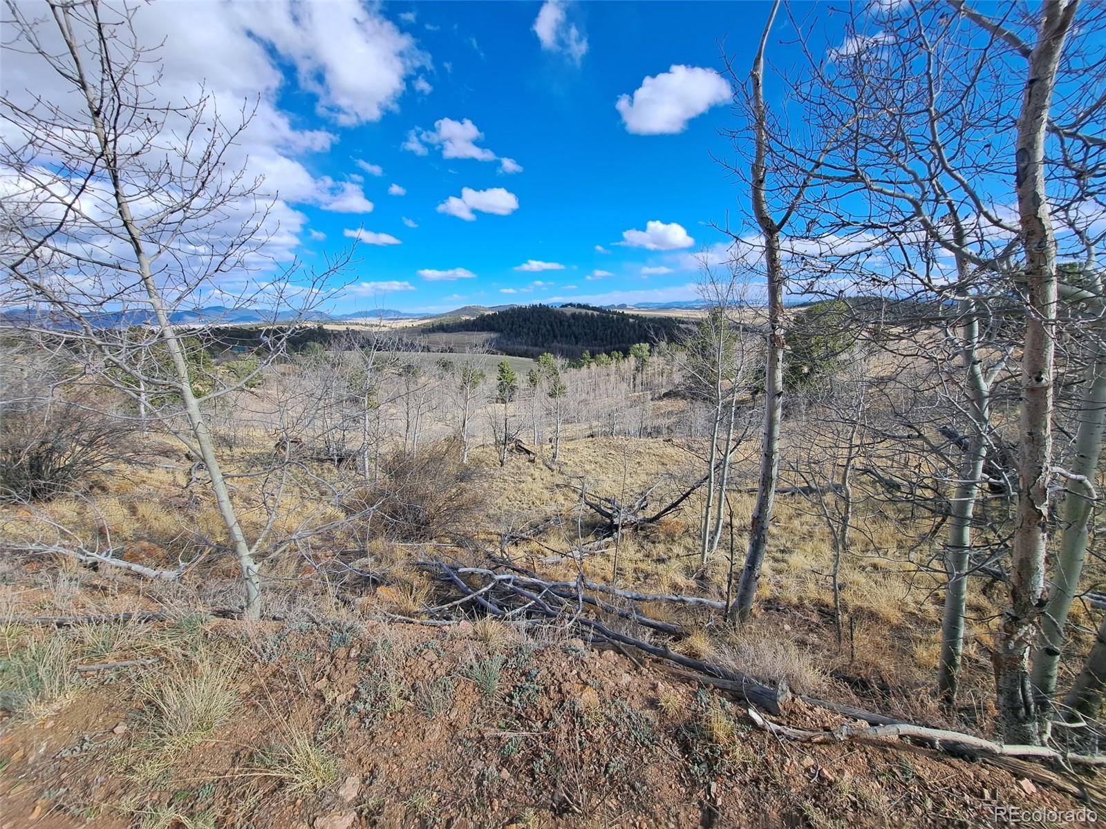 908 Raven Way Como, CO 80432 - Photo 19 of 29 a view of a yard