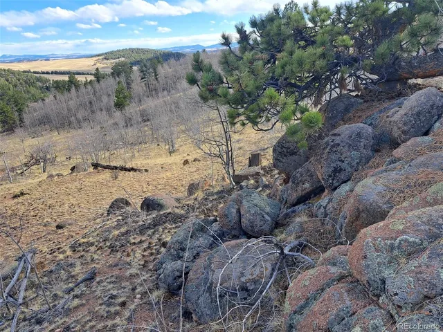 a view of a dry field with trees