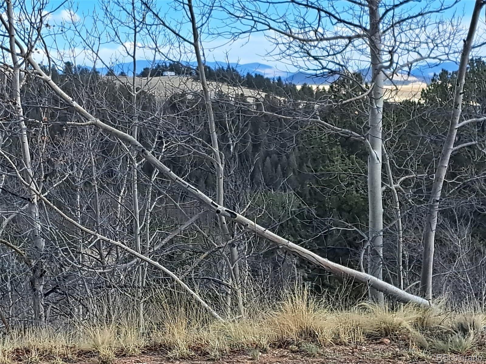 908 Raven Way Como, CO 80432 - Photo 21 of 29 a view of a forest with a tree
