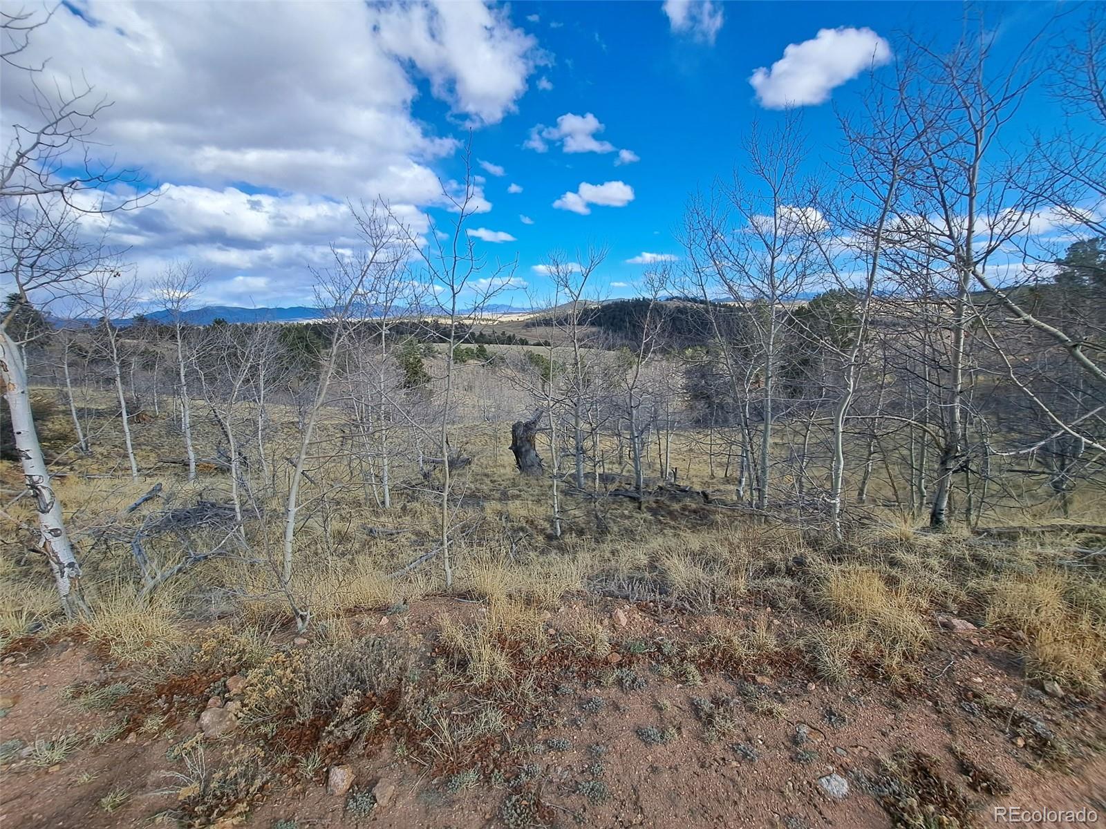 908 Raven Way Como, CO 80432 - Photo 22 of 29 a view of a dry yard with wooden fence