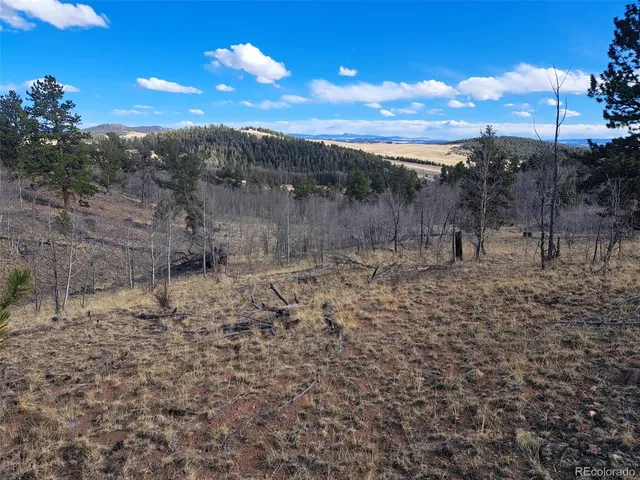 a view of a dry yard