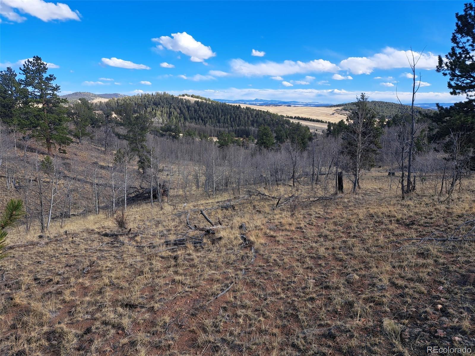 908 Raven Way Como, CO 80432 - Photo 23 of 29 a view of a yard with a tree