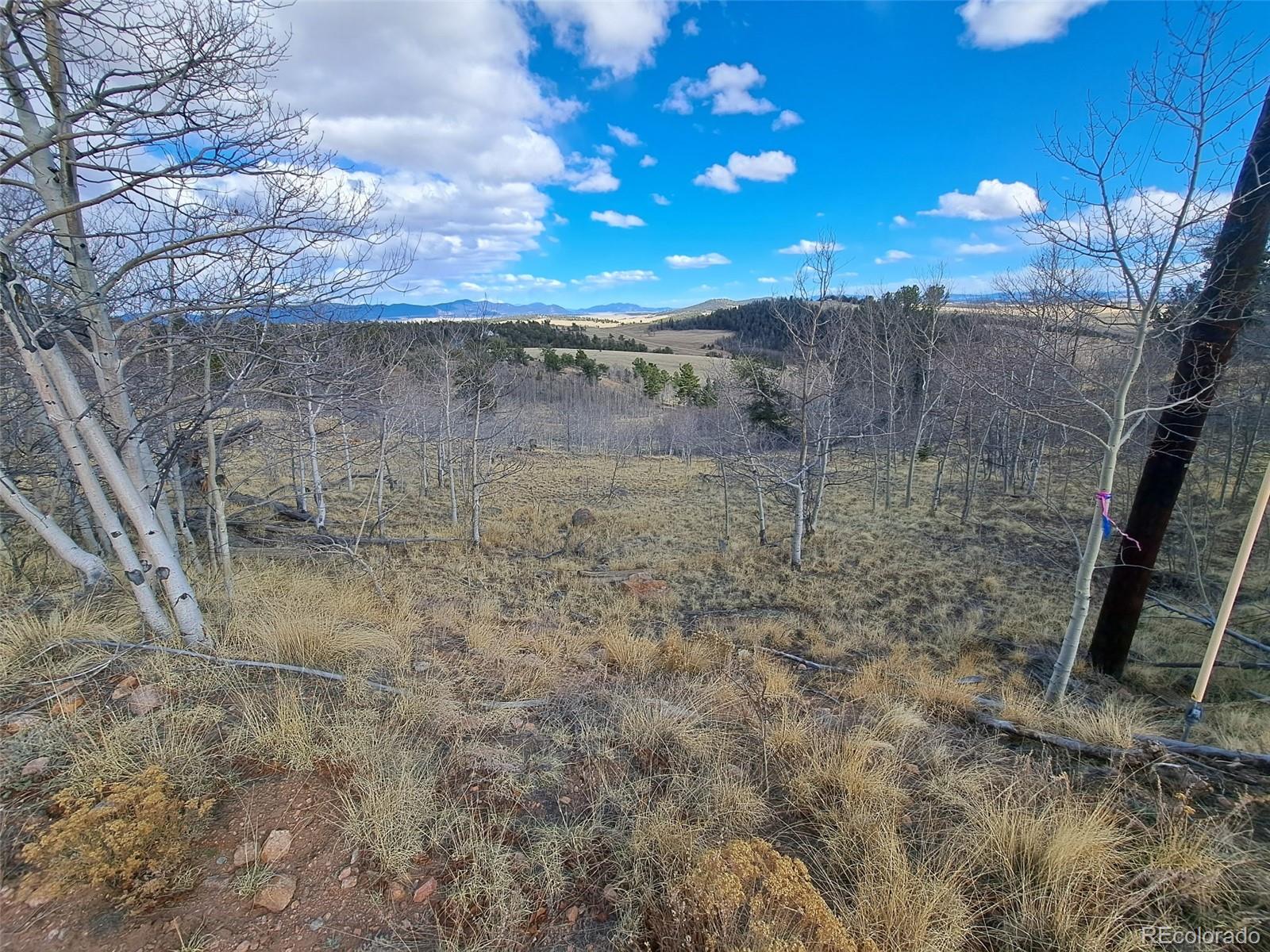 908 Raven Way Como, CO 80432 - Photo 24 of 29 a view of a dry yard