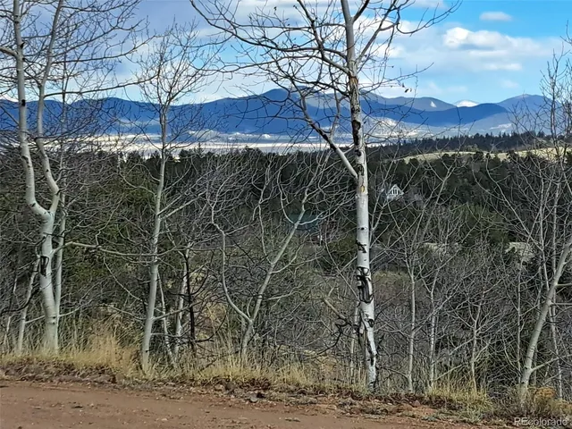 a view of a room with a tree