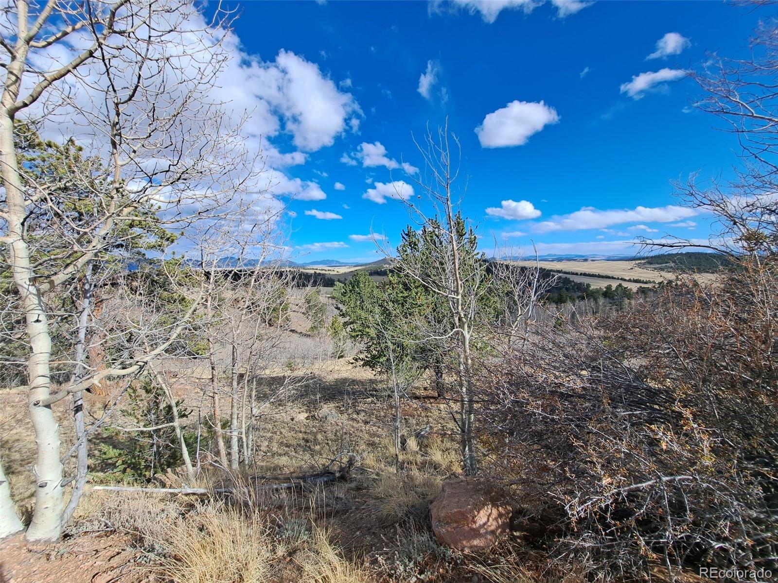 908 Raven Way Como, CO 80432 - Photo 27 of 29 a view of a room with a tree
