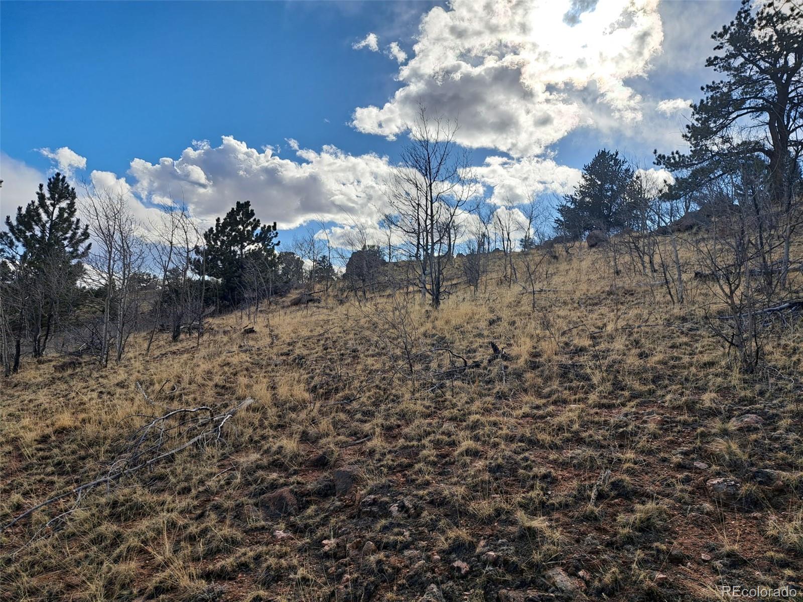 908 Raven Way Como, CO 80432 - Photo 3 of 29 a view of a yard