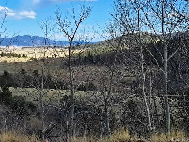 a view of a yard with wooden fence