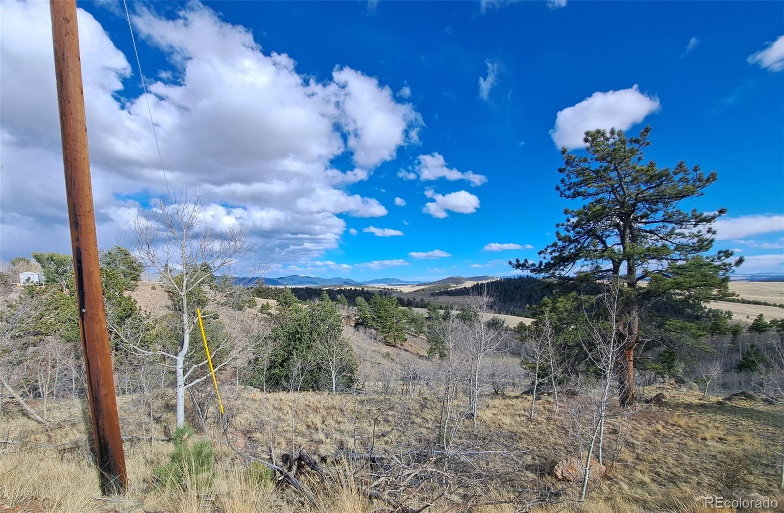 908 Raven Way Como, CO 80432 - Photo 6 of 29 a view of a flower in a yard