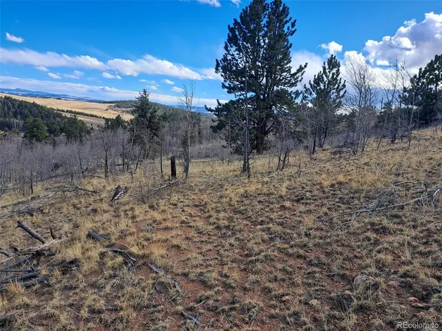 a view of a yard with a tree