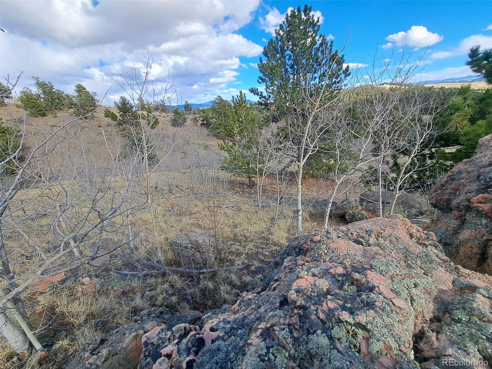 908 Raven Way Como, CO 80432 - Photo 9 of 29