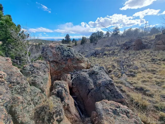 a view of a yard with an ocean