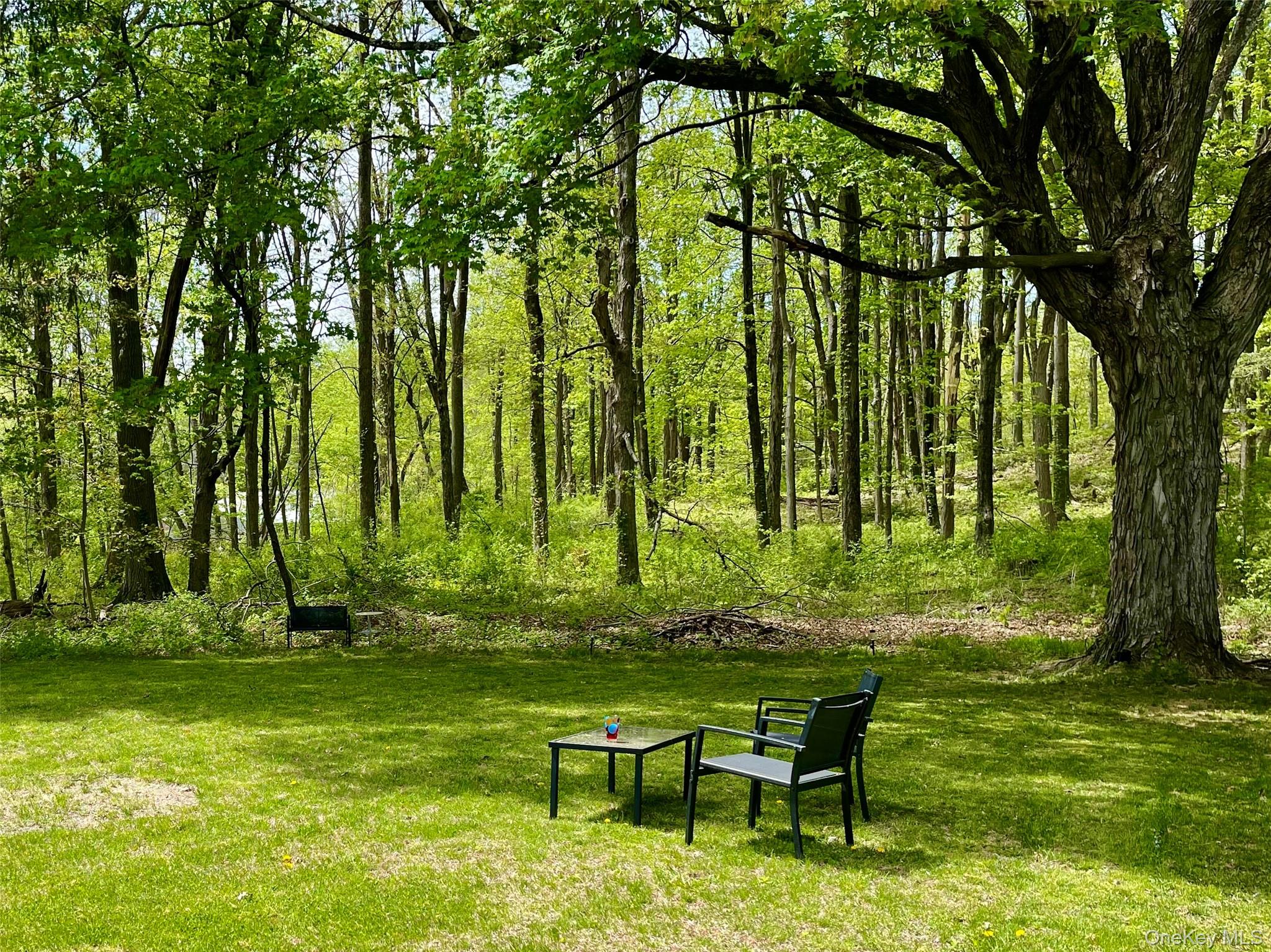 9 King Road Rhinebeck, NY 12572 - Photo 19 of 20 a swimming pool with outdoor seating and yard