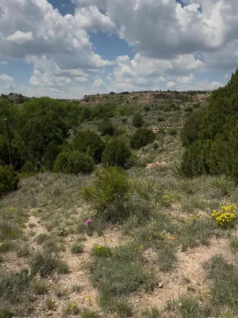 $85,000 | West Timbercreek Drive, Amarillo, TX 79118