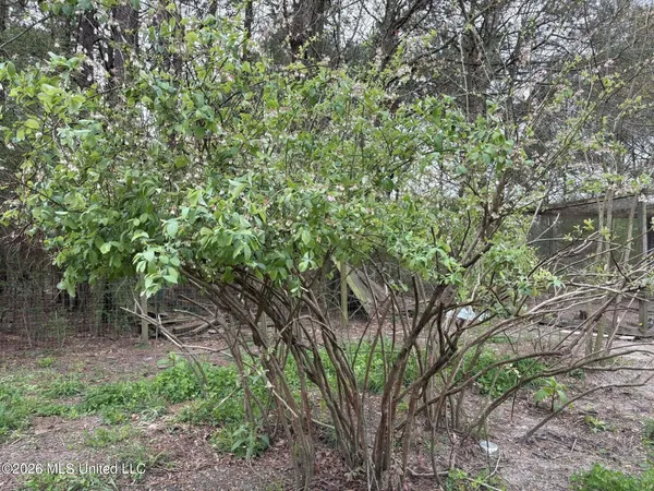 $229,000 | 78 Pump Branch Road, Wiggins, MS 39577