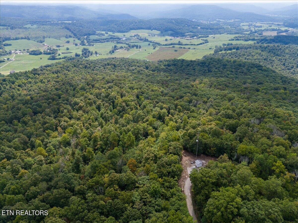 0 Fire Tower 23.2 Ac Road Sparta, TN 38583 - Photo 9 of 18 Gallery Image 9