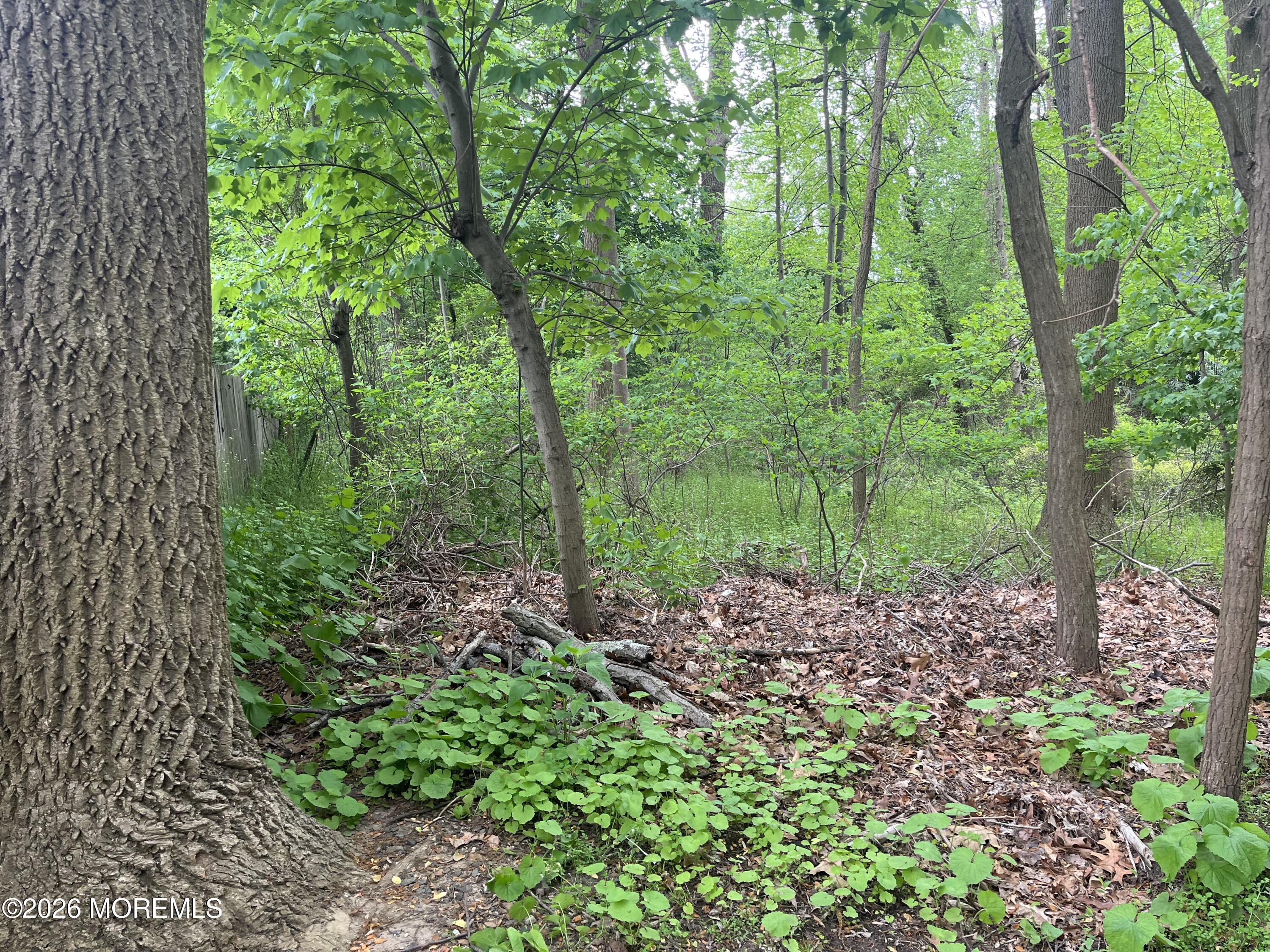 152 Chapel Hill Road Middletown, NJ 07701 - Photo 14 of 18 a view of a garden with plants and a bench