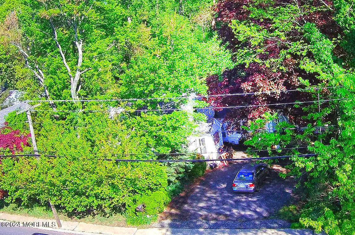 152 Chapel Hill Road Middletown, NJ 07701 - Photo 15 of 18 a view of a tree with a flower