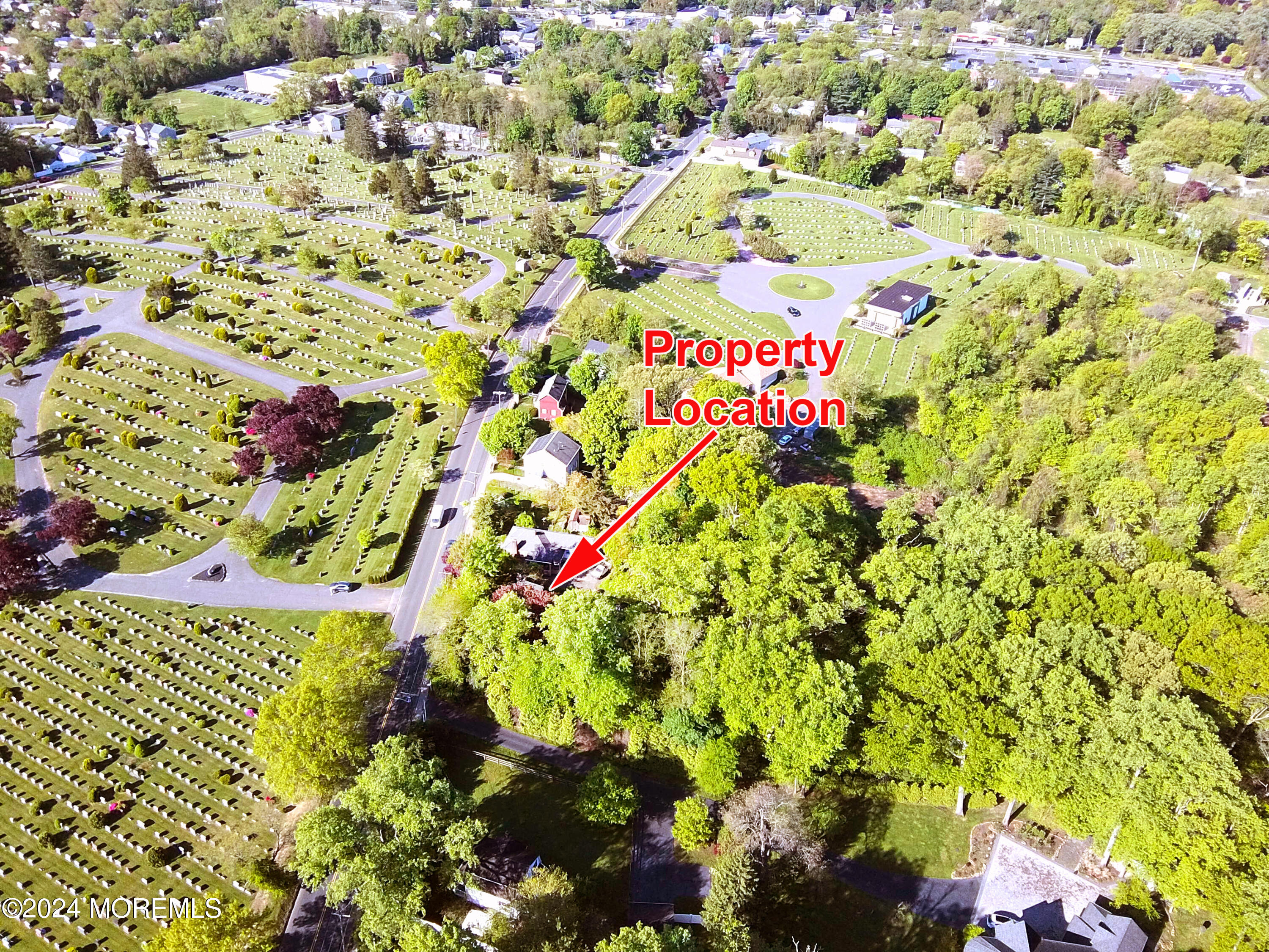 152 Chapel Hill Road Middletown, NJ 07701 - Photo 18 of 18 a picture of flowers