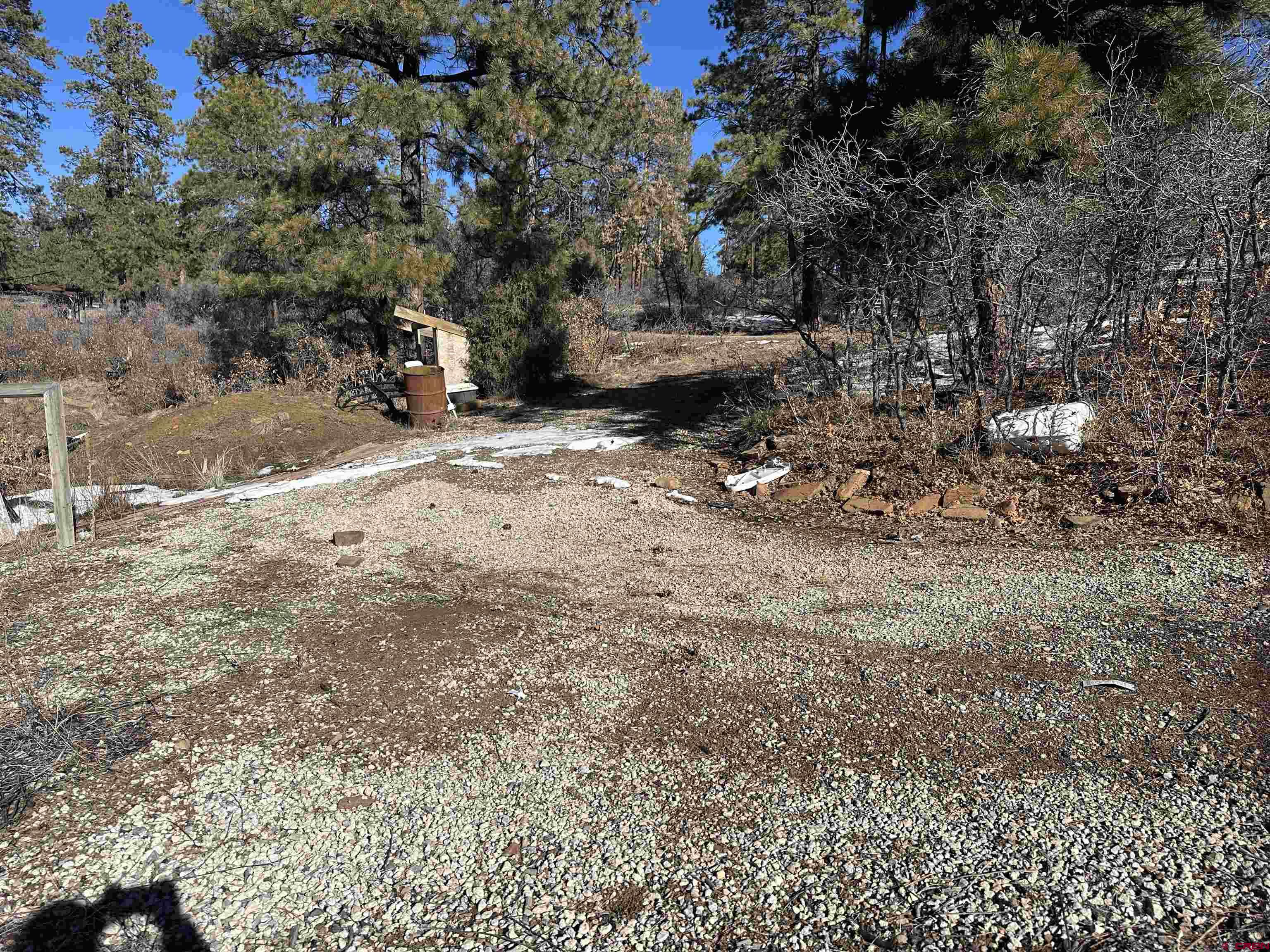 1742 West View Road Pagosa Springs, CO 81147 - Photo 2 of 7