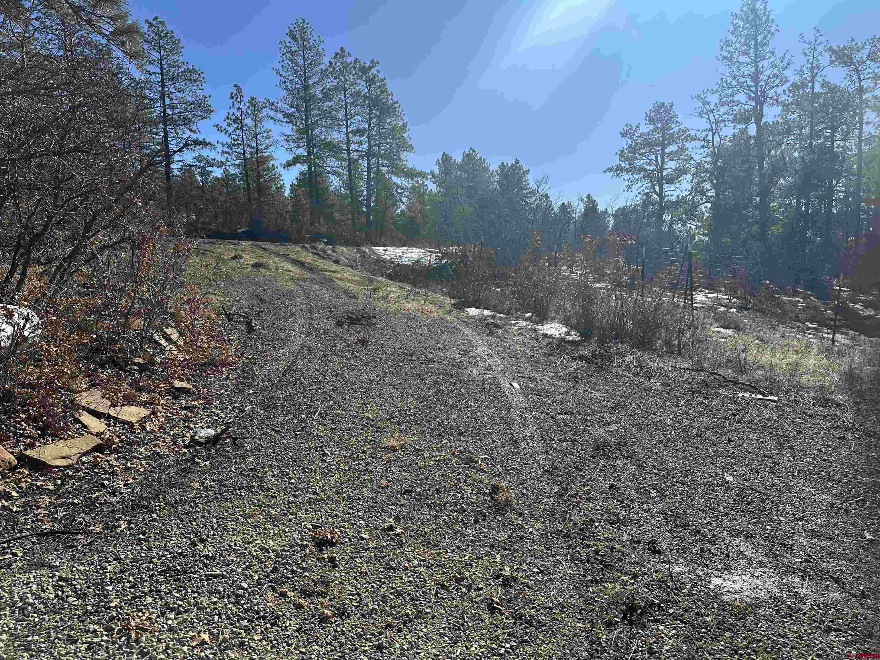 1742 West View Road Pagosa Springs, CO 81147 - Photo 3 of 7