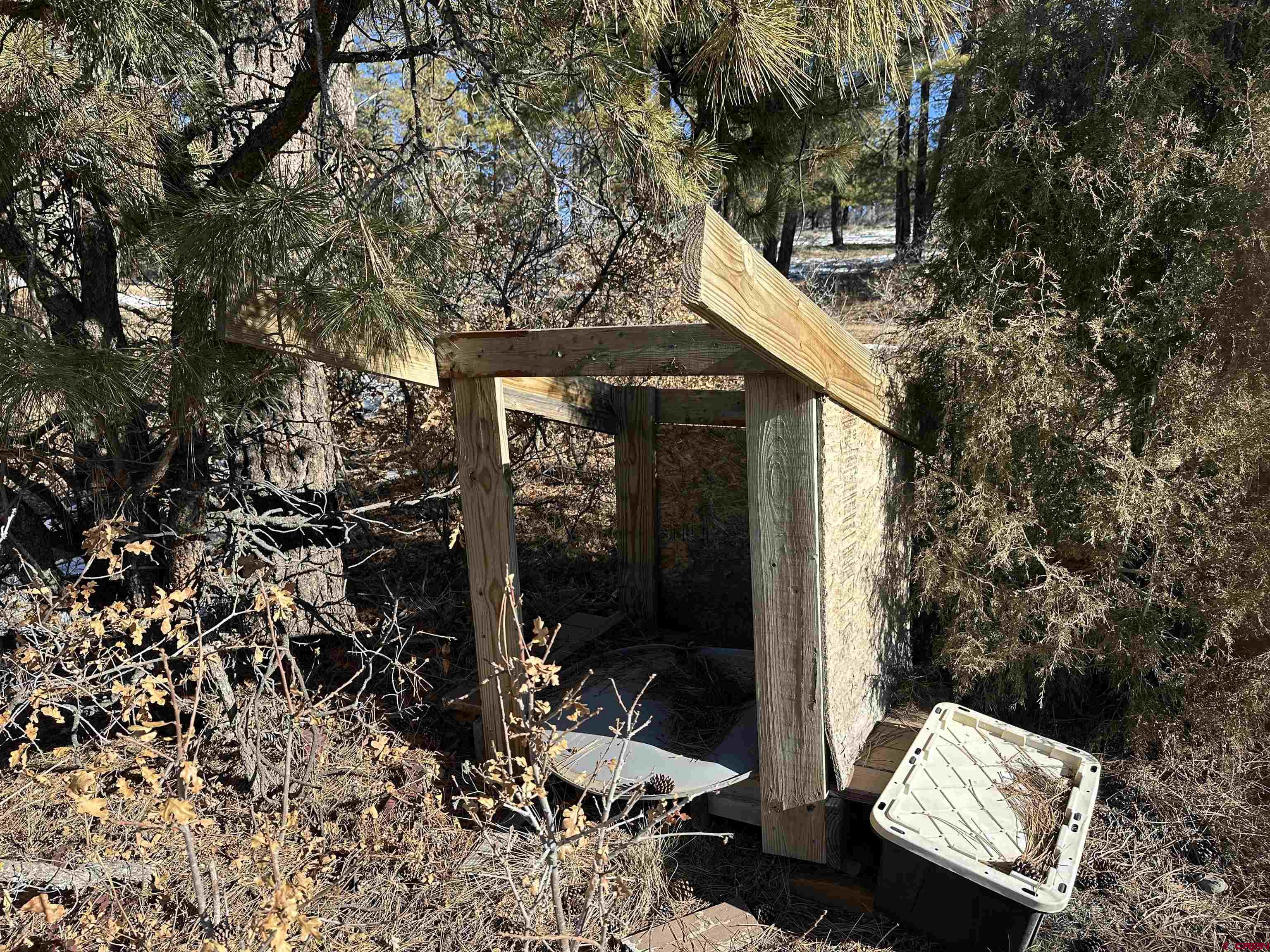 1742 West View Road Pagosa Springs, CO 81147 - Photo 6 of 7