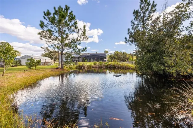 a view of a swimming pool with an ocean