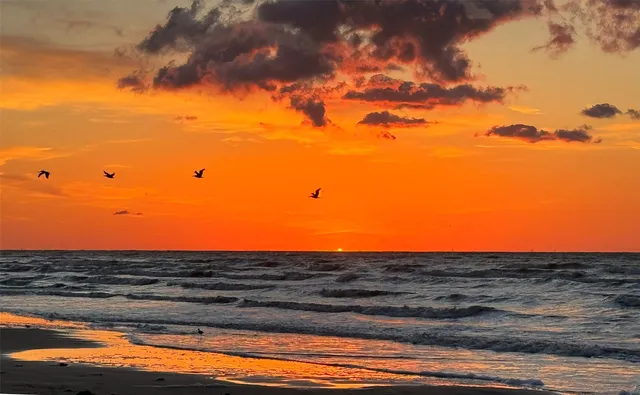 $475,000 | 1401 East Beach Drive, Unit 814, Galveston, TX 77550