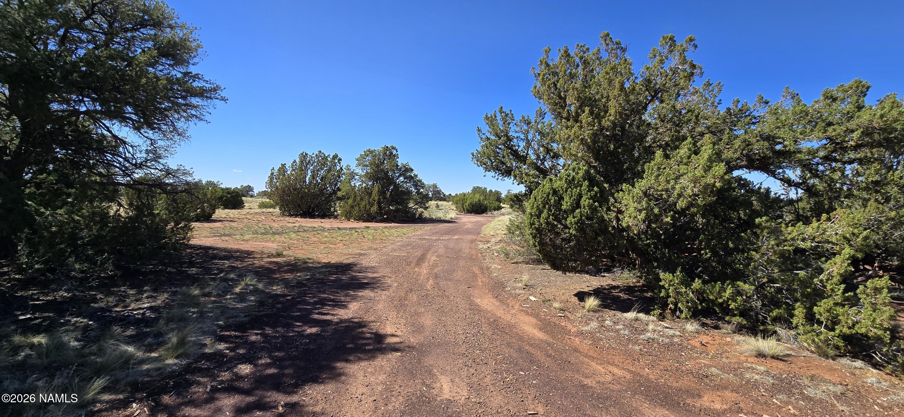 4605 Juniper Road Williams, AZ 86046 - Photo 3 of 47 20260528_152825