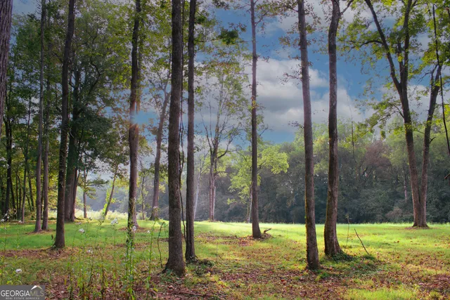 $399,000 | 0 Mcgee Bend Road, Cave Spring, GA 30124