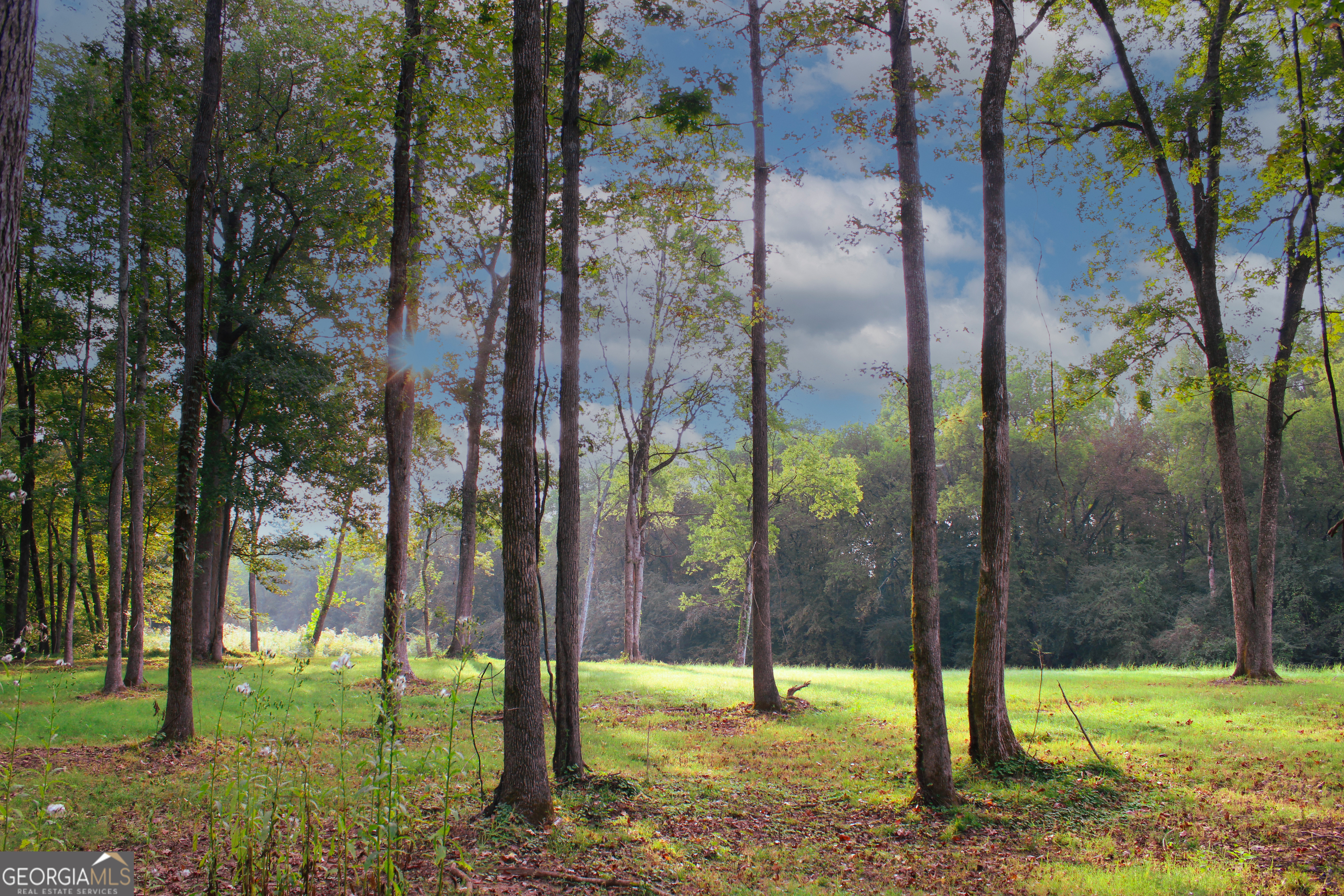 0 Mcgee Bend Road Cave Spring, GA 30124 - Photo 11 of 18