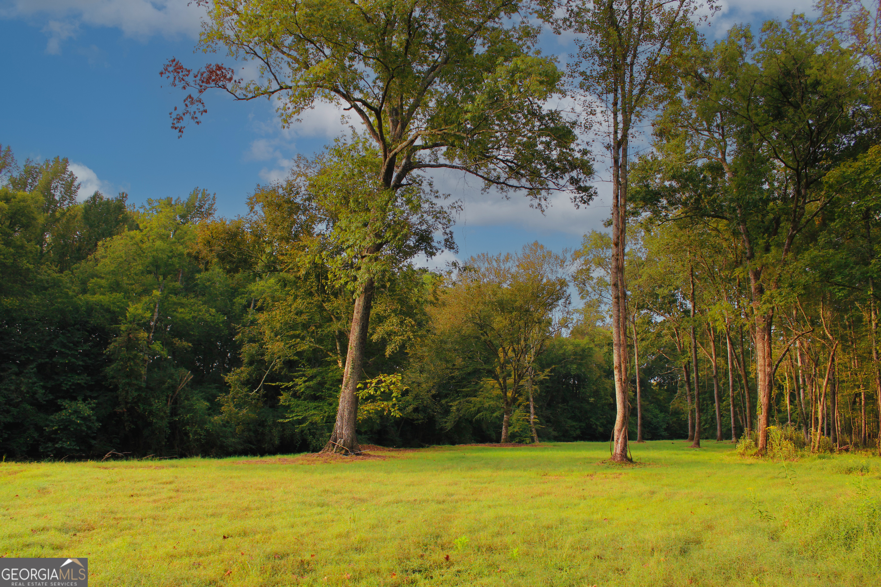0 Mcgee Bend Road Cave Spring, GA 30124 - Photo 12 of 18