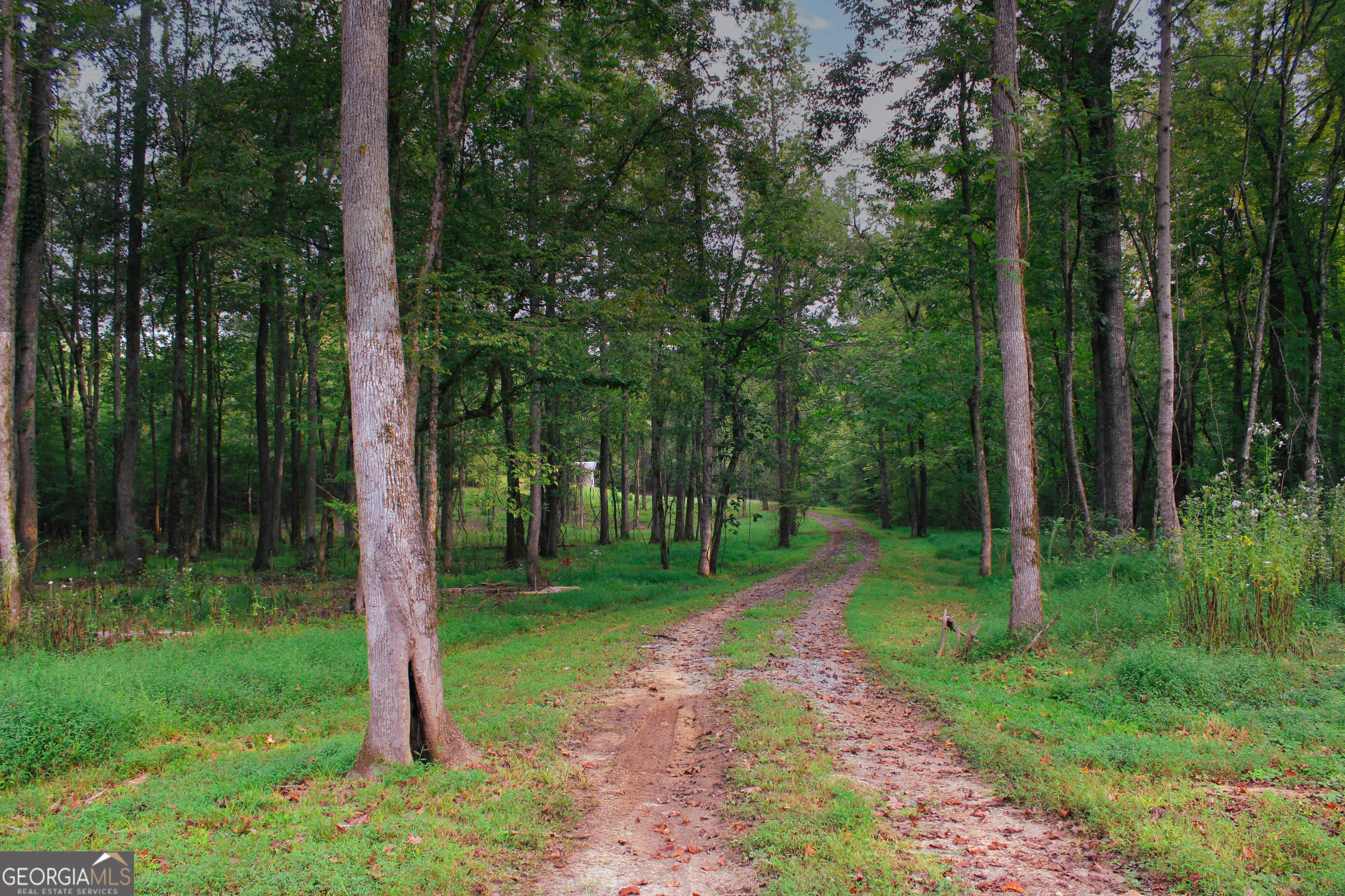 0 Mcgee Bend Road Cave Spring, GA 30124 - Photo 15 of 18