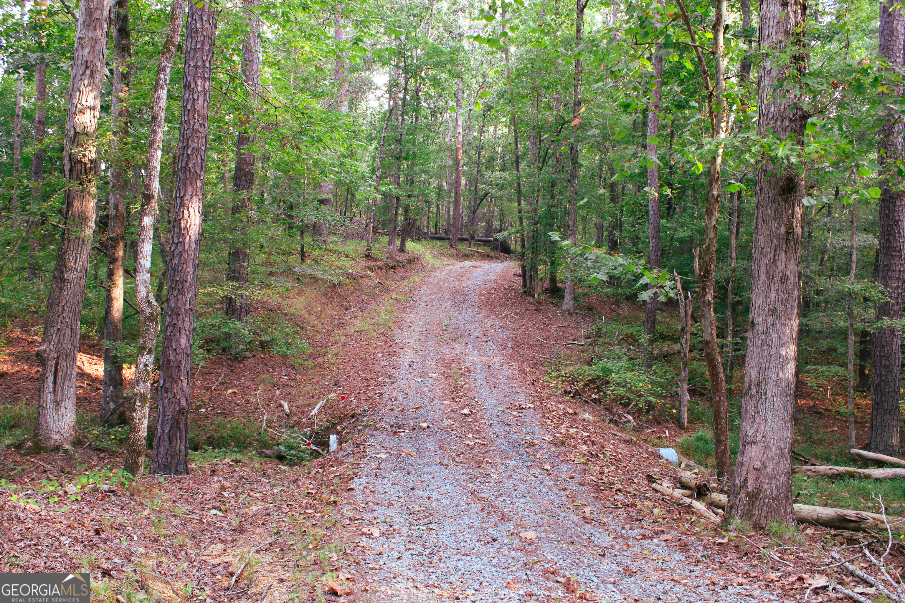 0 Mcgee Bend Road Cave Spring, GA 30124 - Photo 16 of 18