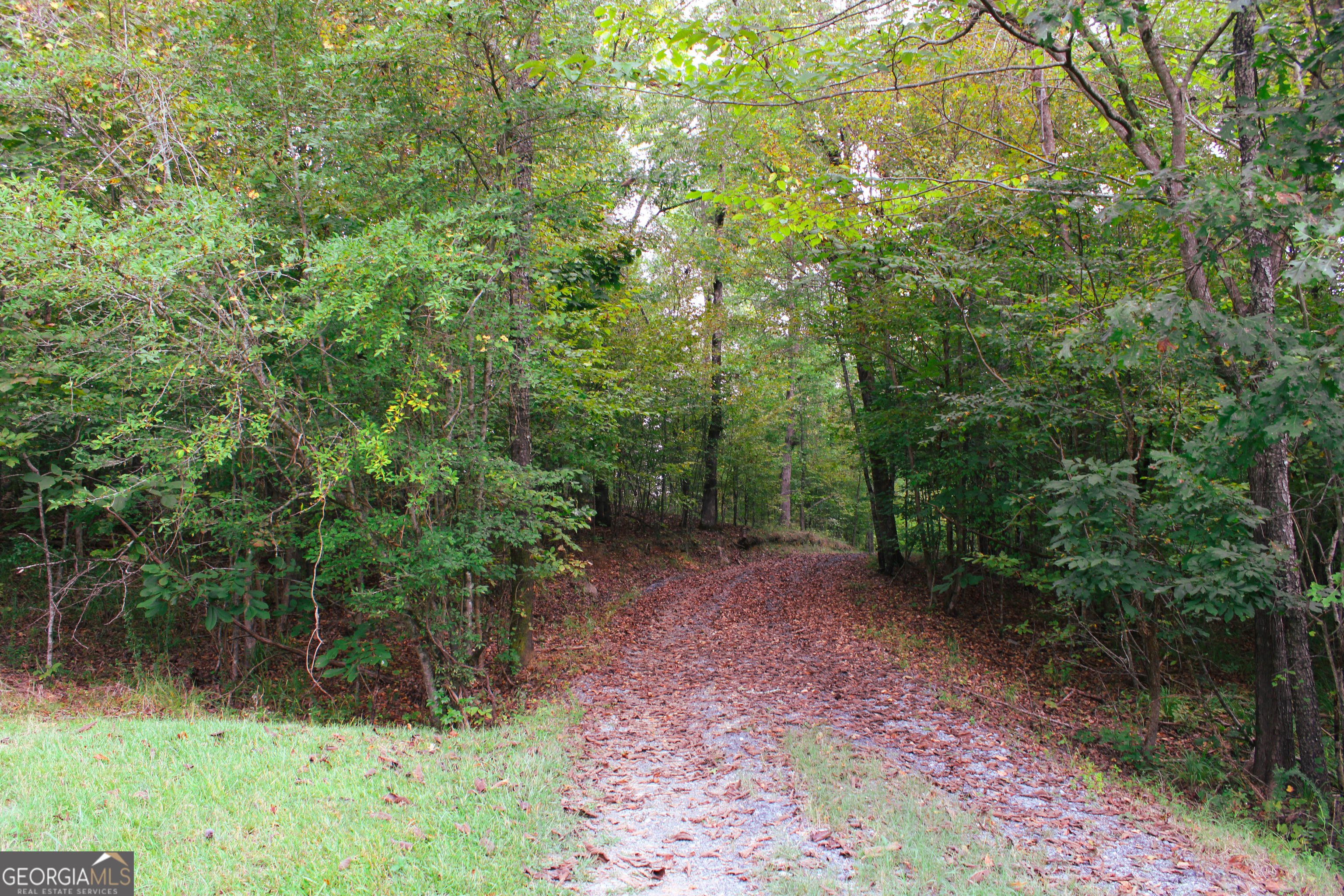 0 Mcgee Bend Road Cave Spring, GA 30124 - Photo 17 of 18