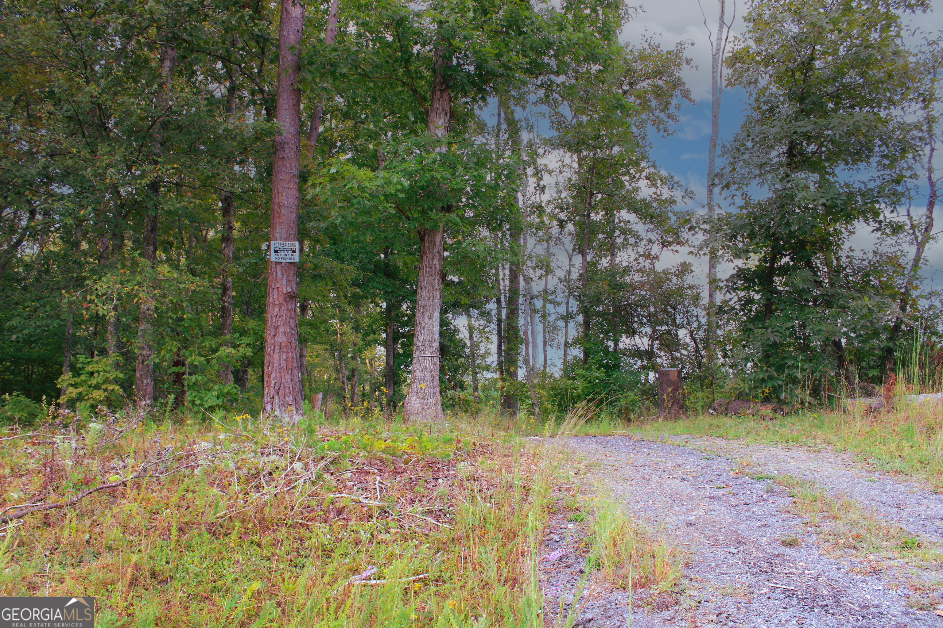 0 Mcgee Bend Road Cave Spring, GA 30124 - Photo 18 of 18