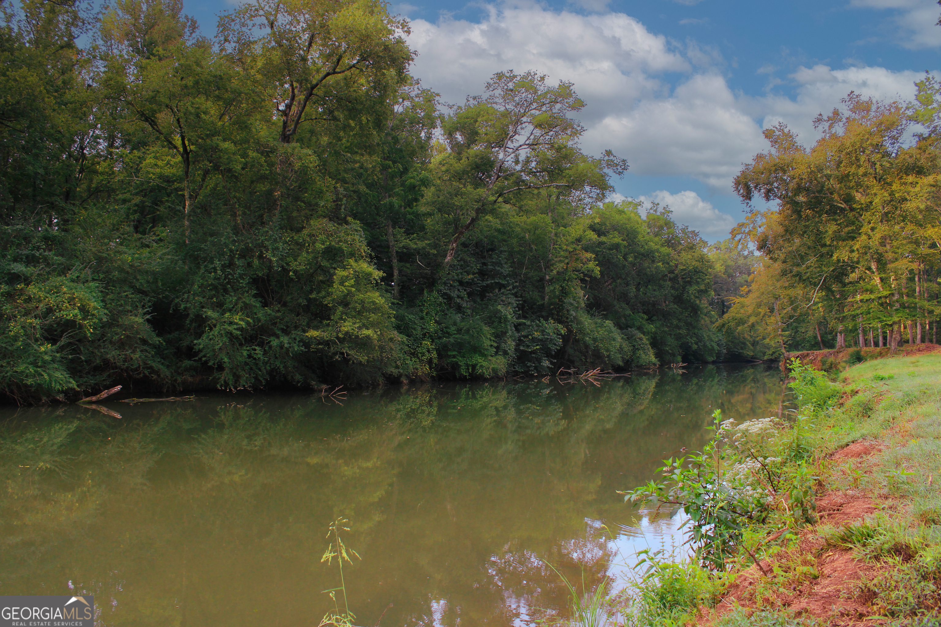0 Mcgee Bend Road Cave Spring, GA 30124 - Photo 3 of 18