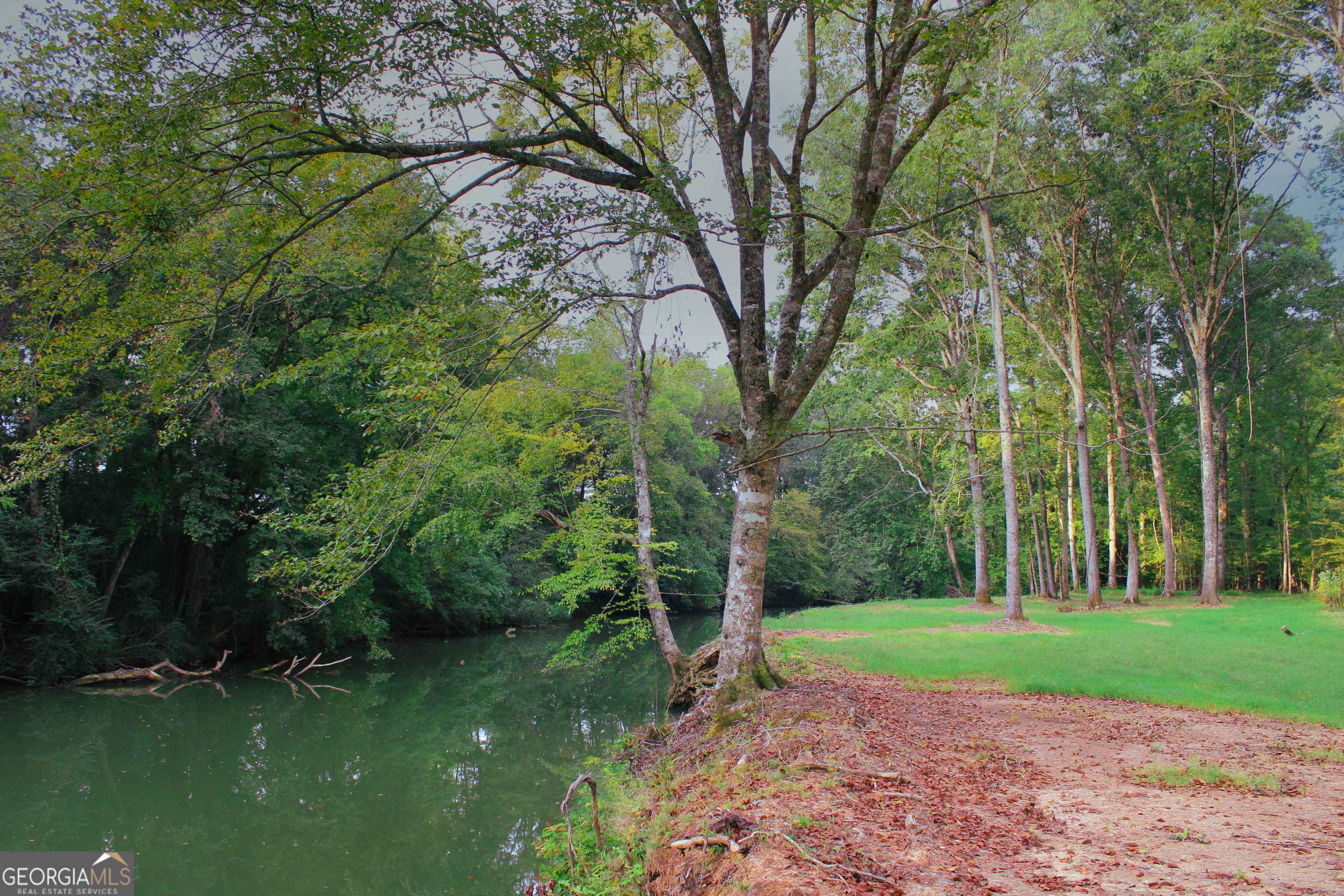 0 Mcgee Bend Road Cave Spring, GA 30124 - Photo 4 of 18