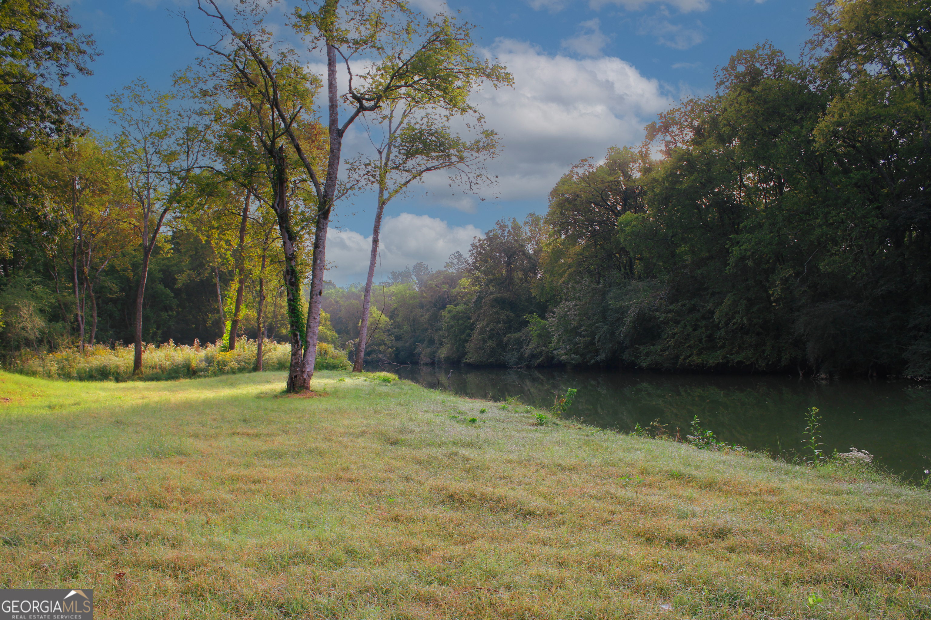 0 Mcgee Bend Road Cave Spring, GA 30124 - Photo 5 of 18