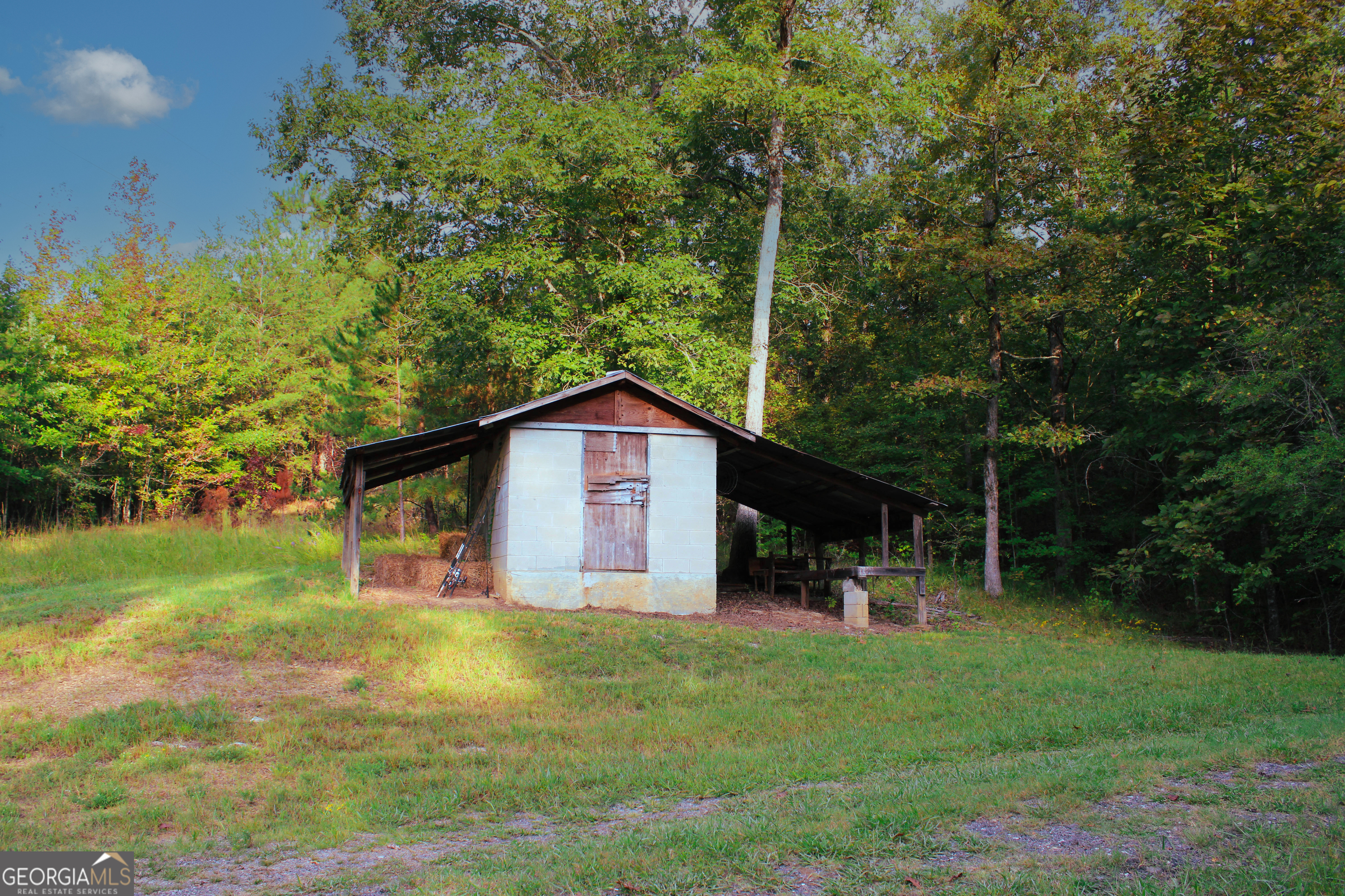 0 Mcgee Bend Road Cave Spring, GA 30124 - Photo 6 of 18