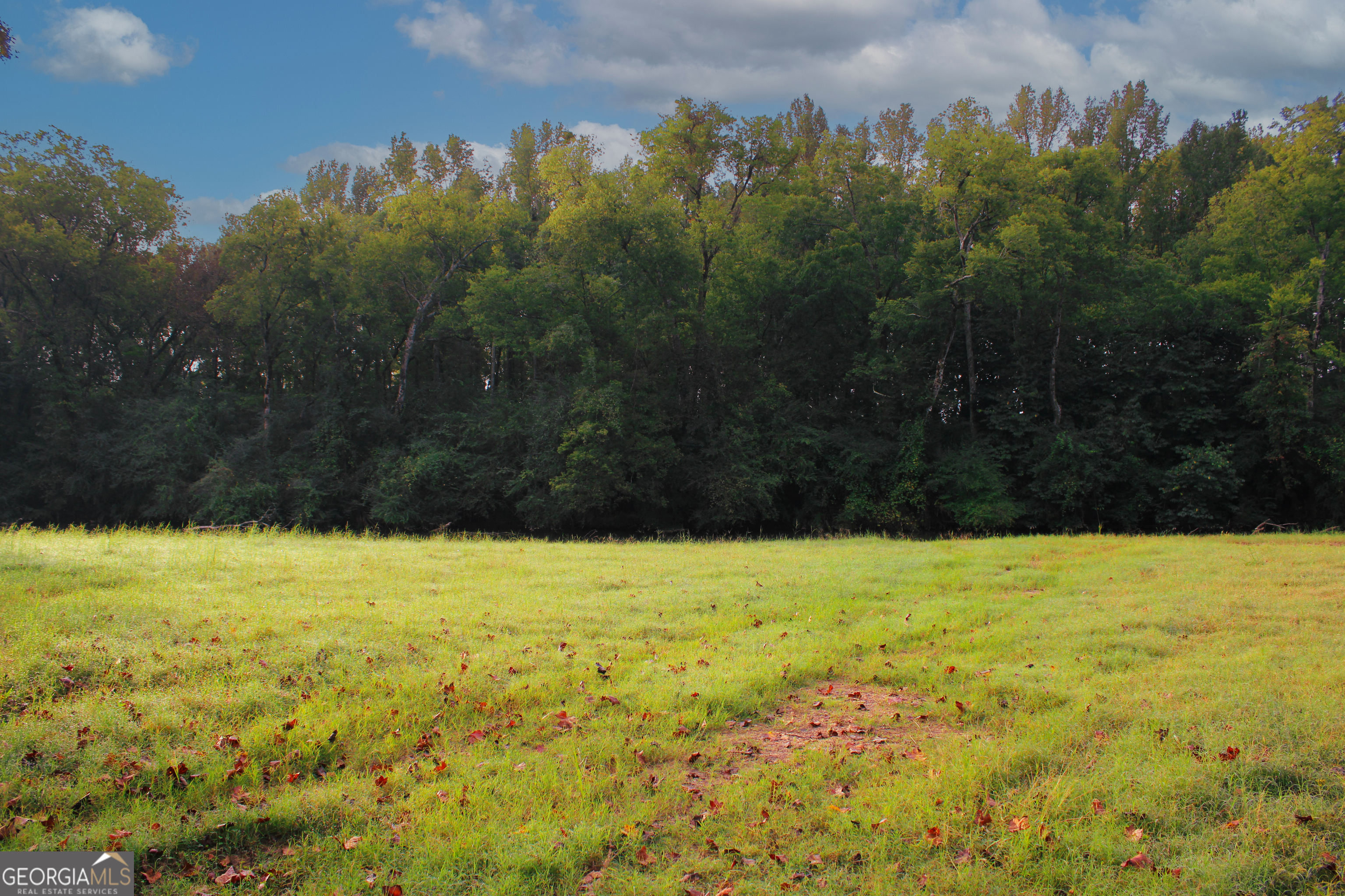 0 Mcgee Bend Road Cave Spring, GA 30124 - Photo 7 of 18