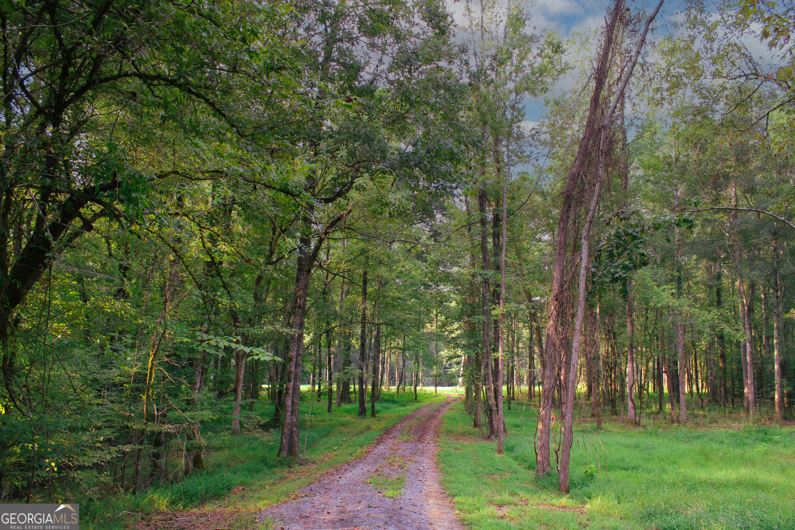 0 Mcgee Bend Road Cave Spring, GA 30124 - Photo 9 of 18