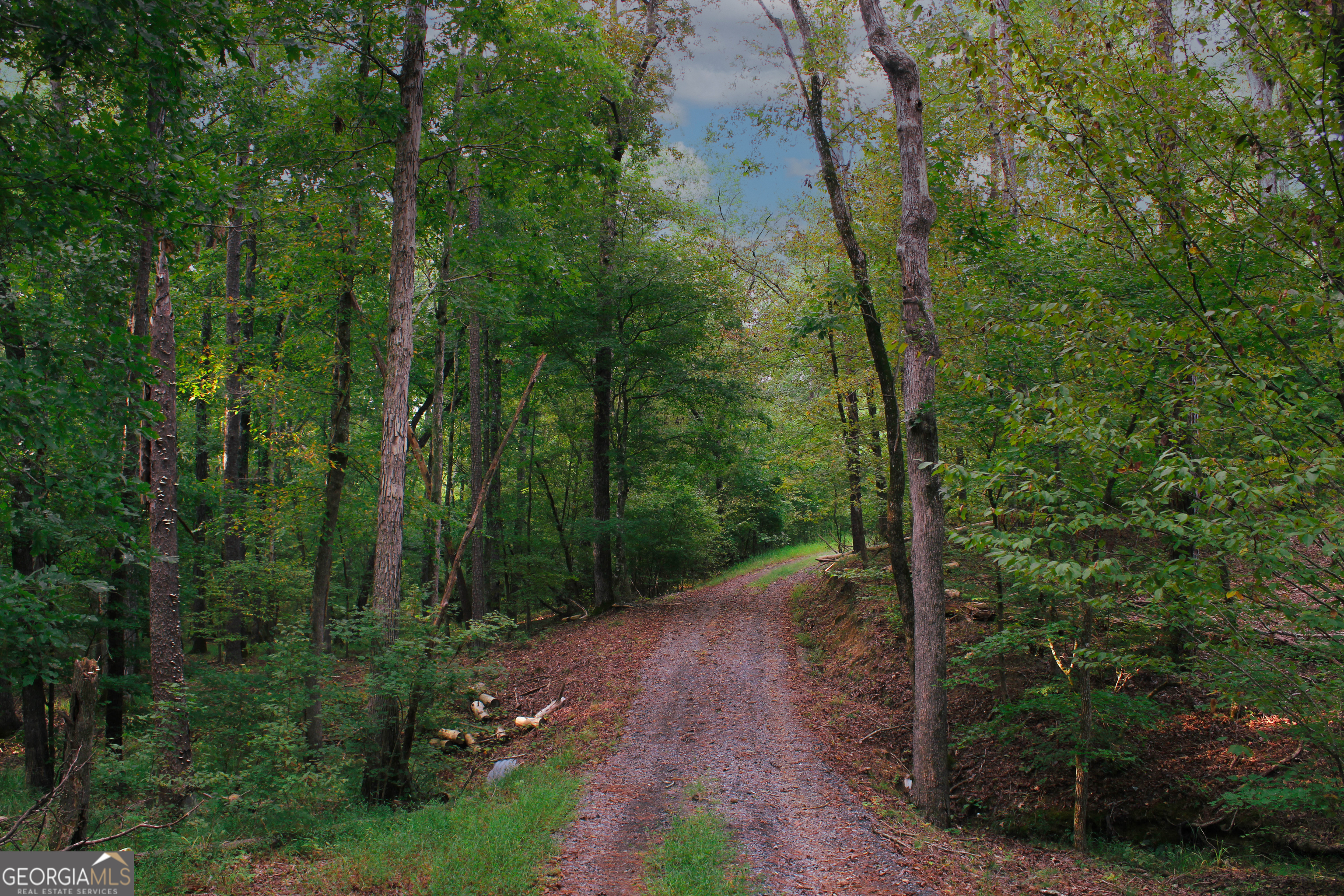 0 Mcgee Bend Road Cave Spring, GA 30124 - Photo 10 of 18