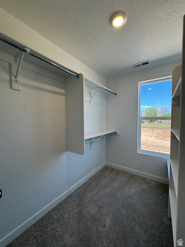 1472 North 1875 West, Unit 151 Layton, UT 84041 - Photo 16 of 20 Walk-in closet with carpet flooring, built-in shelving, hanging rods, an exterior window, and a ceiling-mounted light fixture