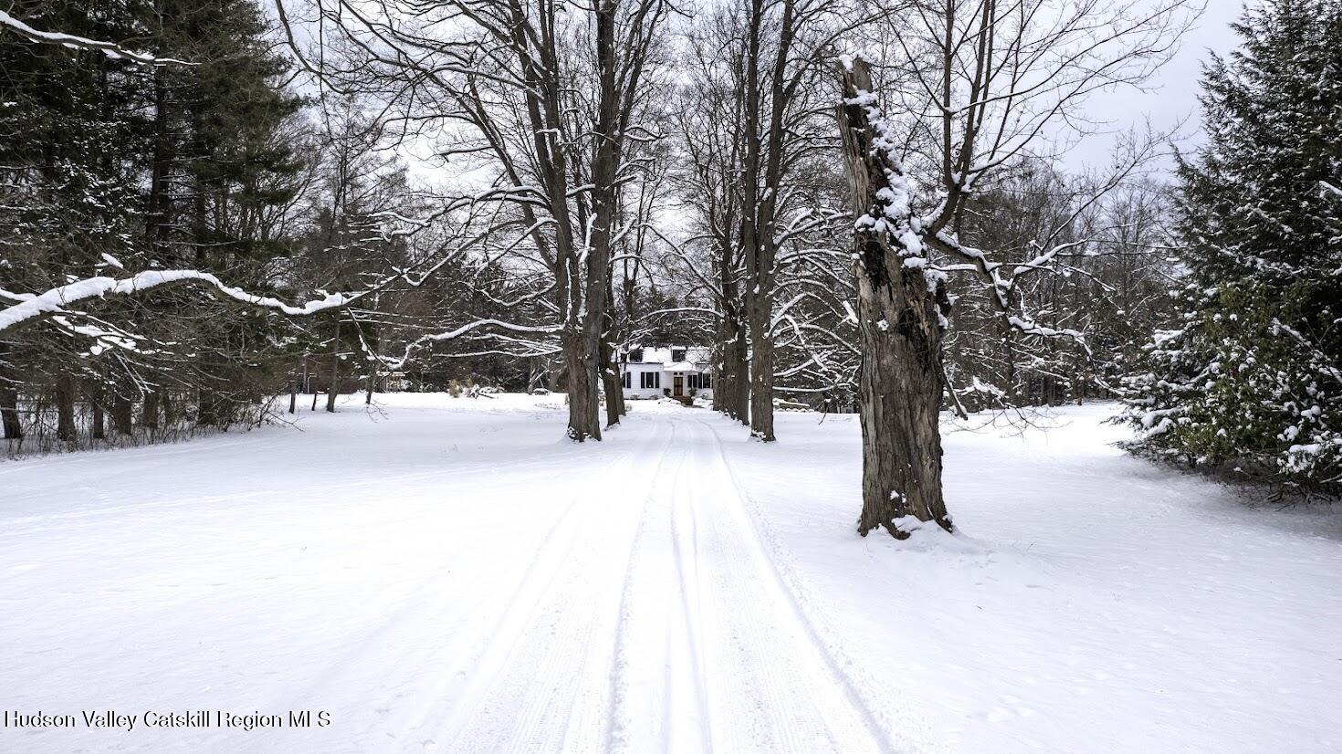 33 Broad Street Kinderhook, NY 12106 - Photo 72 of 83 67 - Maple tree lined driveway from Broa