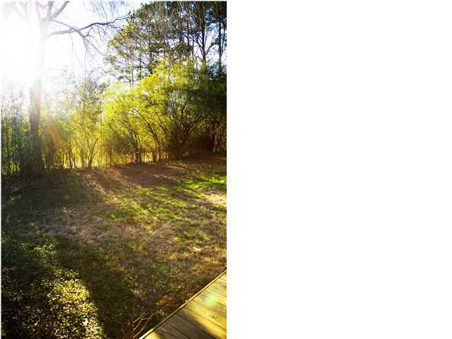 2205 Mae Dell Road Chattanooga, TN 37421 - Photo 22 of 25 Additional Photo